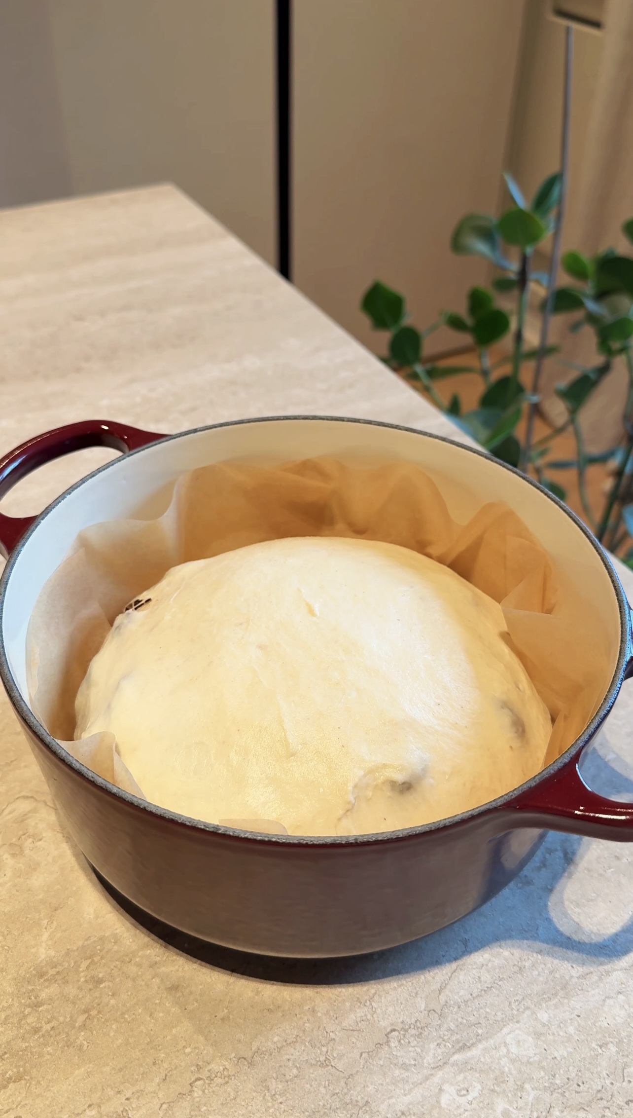 Pane fatto in casa con uvetta e noci ricetta step 4