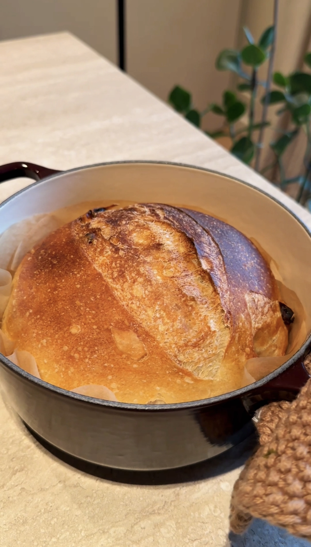 Pane fatto in casa con uvetta e noci ricetta step 5