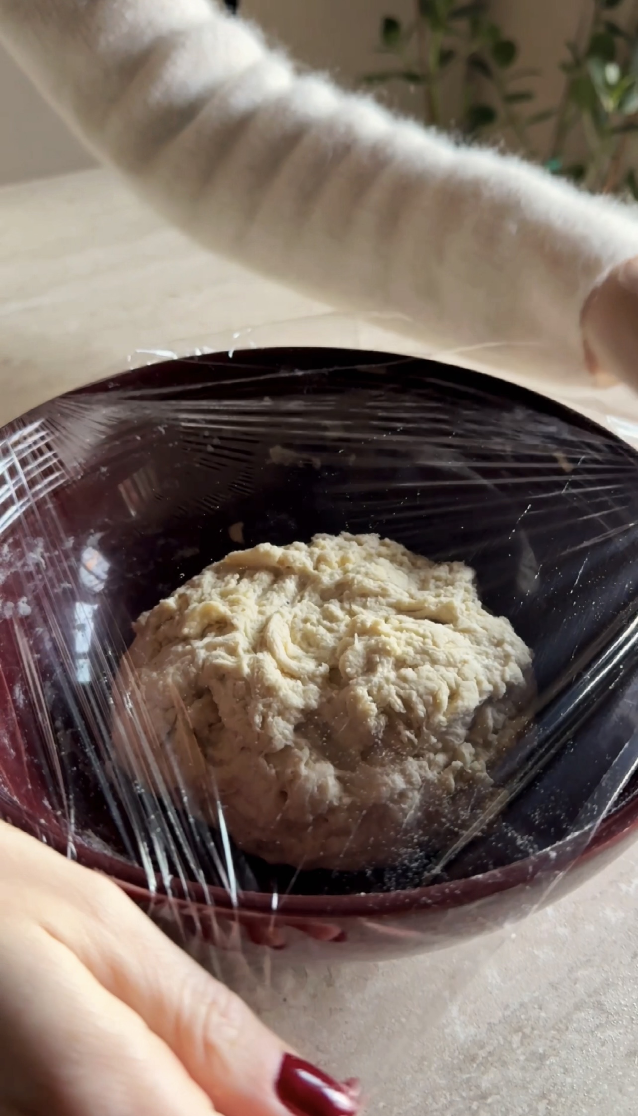 Pane fatto in casa con uvetta e noci ricetta step 2